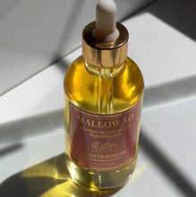 Load image into Gallery viewer, DUO- MALLOW XO AND SUGARVEIL MILK SOUFFLÉ SCENTED OILS